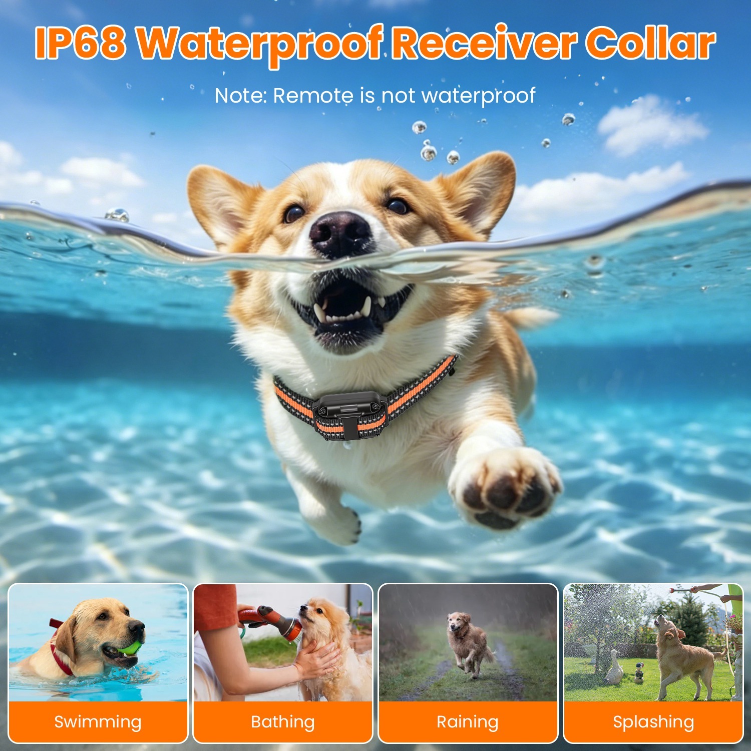 Dog Training Collar With Remote - Image 5