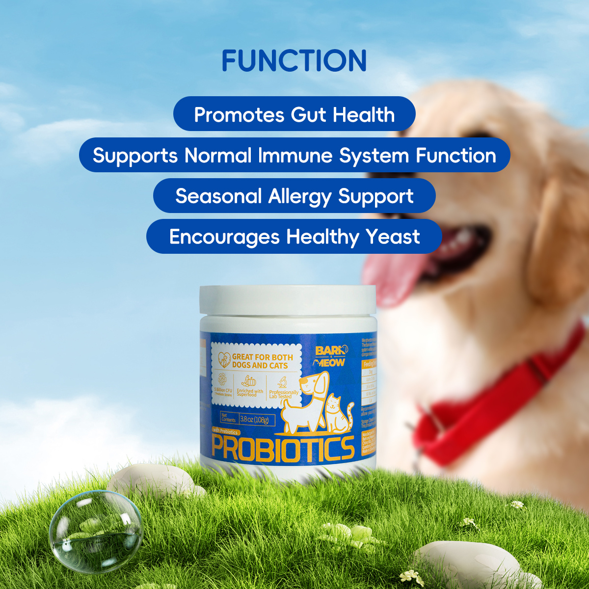 Bark And Meow Probiotics For Dogs & Cats 7 Tailored Strains Prebiotics, Pumpkin & Carrot 5 Billion CFU Scoop Human-Grade, Non-GMO, Vet-Approved, Made In USA, Gut & Immune Support - Image 7