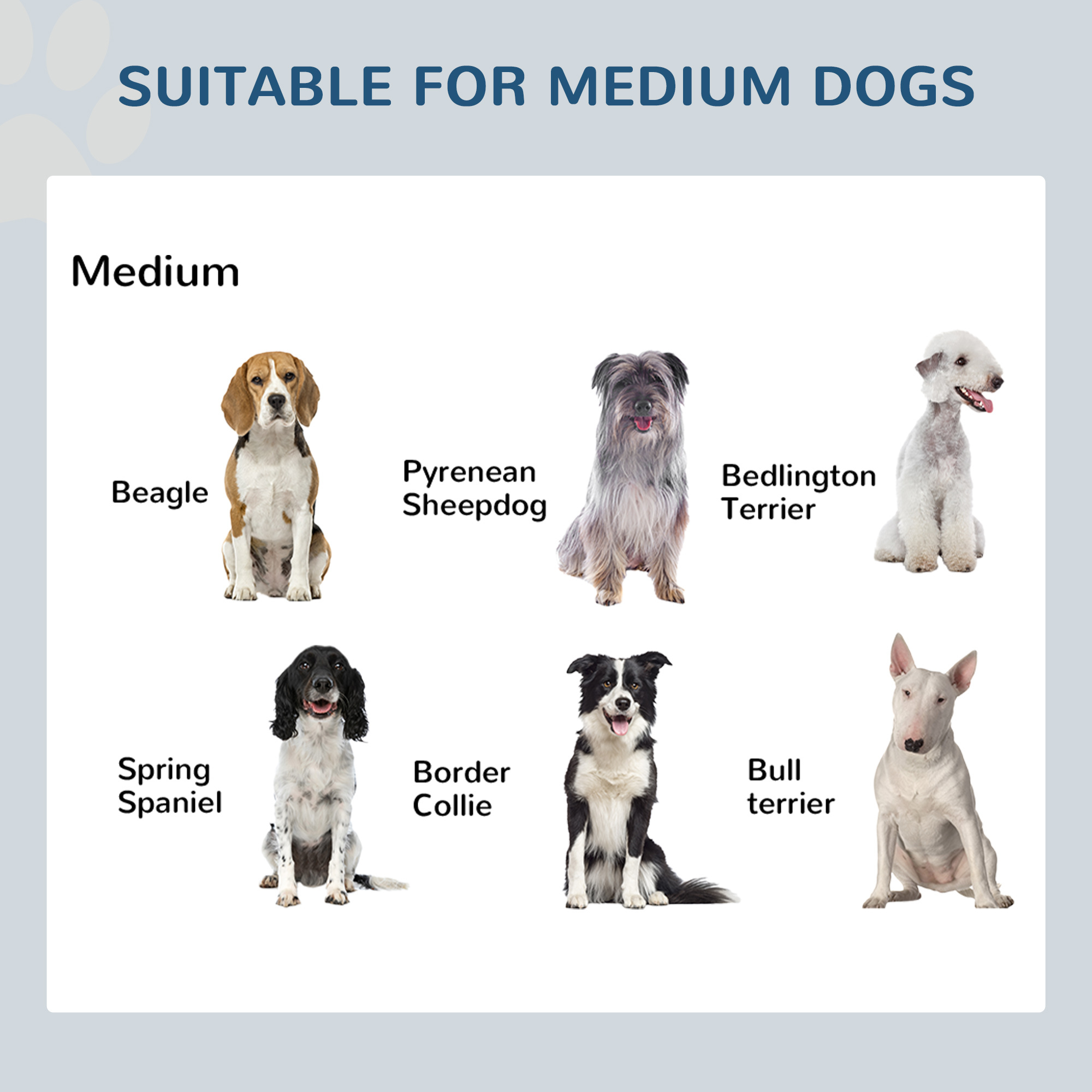 17" Double Stainless Steel Heavy Duty Dog Food Bowl Elevated Pet Feeding Station - Image 7