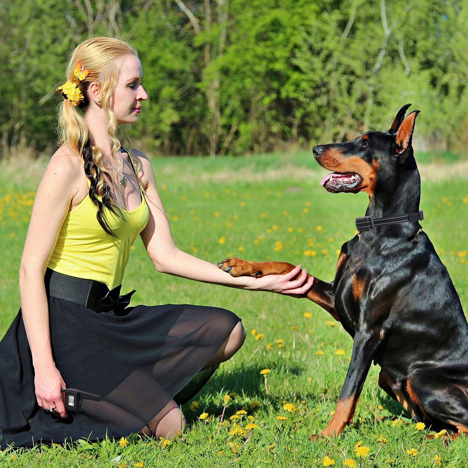 Train Collar OR Receiver Only Options - 3280FT Dog Training Collar IP67 Waterproof Pet Beep Vibration Electric Shock Collar 3 Channels Rechargeable Transmitter Receiver Trainer With Flashlight - Image 2