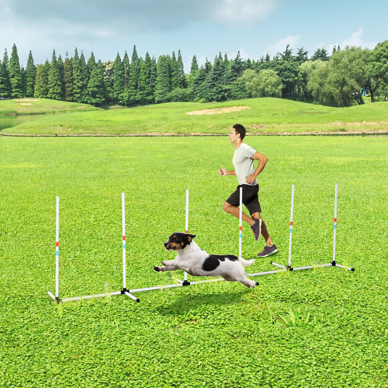 Sturdy Dog Weaves Poles Pet Speed and Agility Equipment Dogs Obstacle Outdoor w/ Storage Bag - Image 7