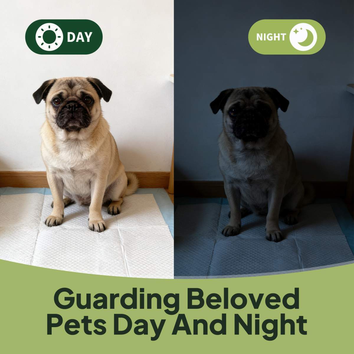 Disposable Dog Training Pads - Image 4