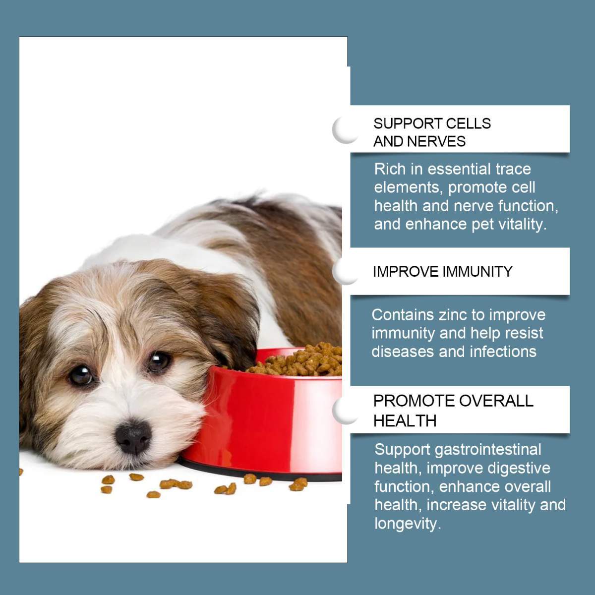 Dog Mineral Supplement Tablets, 80 Chewable Tablets, Calcium Magnesium & Trace Minerals, Appetite & Bone Health Support, Non-GMO Pet Vitamins - Image 6