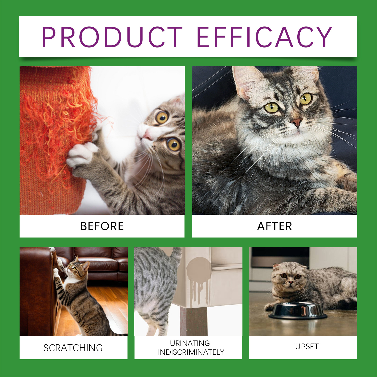 Cat Calming Pheromone Diffuser Kit 45ml, Stress Relief For Anxious Cats & Kittens - Image 8