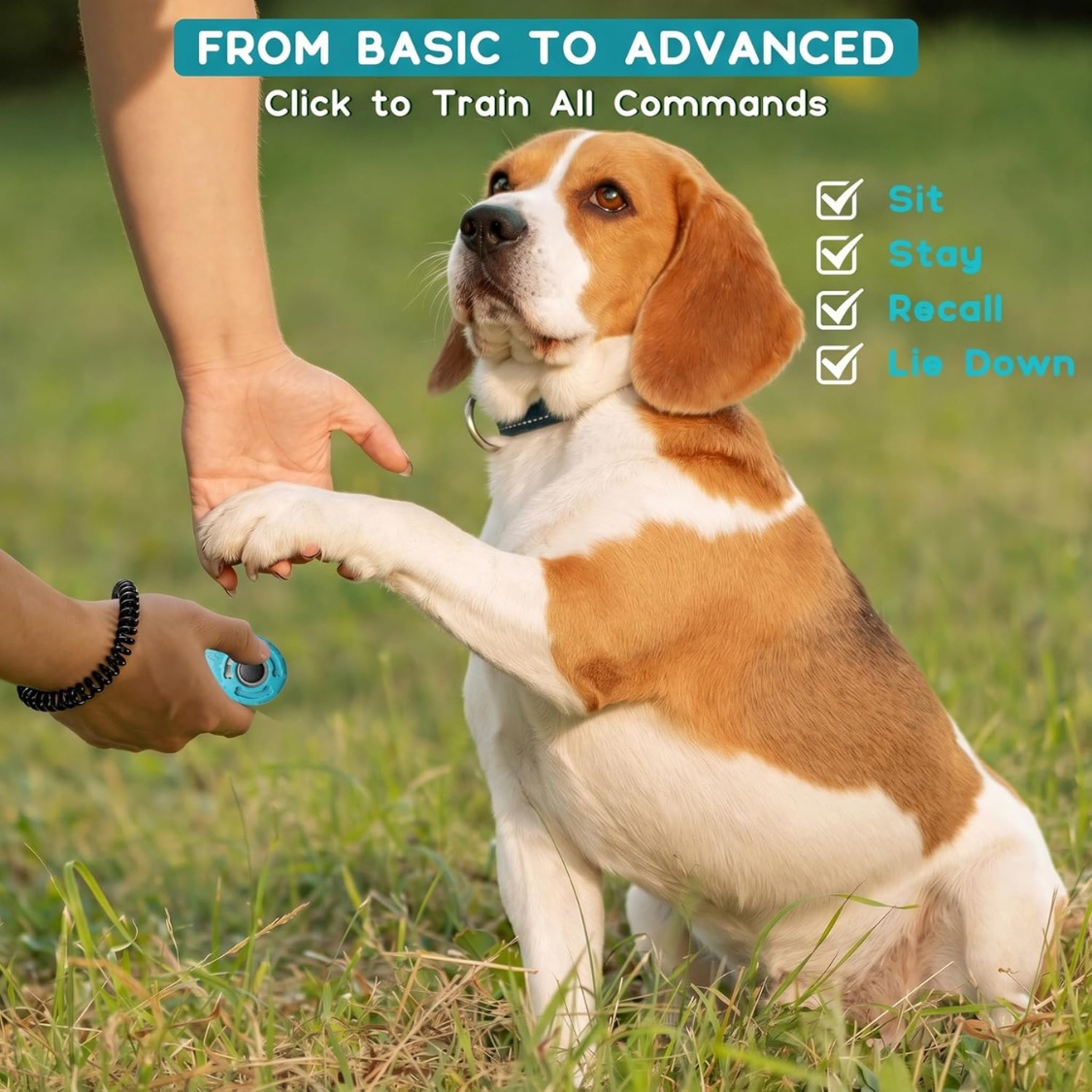 Dog Training Clicker With Sring Wrist And Keyring Pet Dog Training Clickers For Puppy, Cat - Image 4