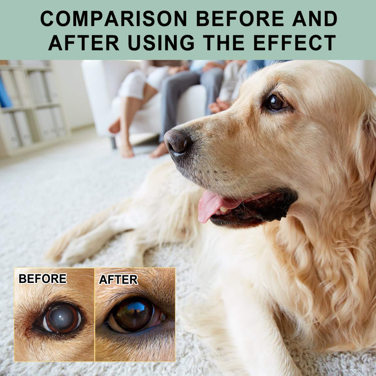 Pet Eye Drops For Dogs & Cats, Gentle Eye Cleaner With Honeysuckle Oil & Blueberry Extract, Soothes Irritation, Tear Stain Remover For Pet Daily Eye Care - Image 7