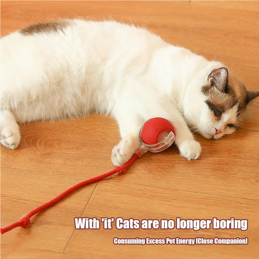 Electric Dog Cat Ball Toy,Indoor Large And Small Cat Dog Interactive Intelligent Rolling Pet Ball - Image 6