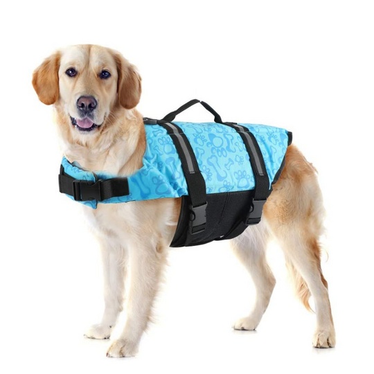 Paw Roll Developing Product - Image 3