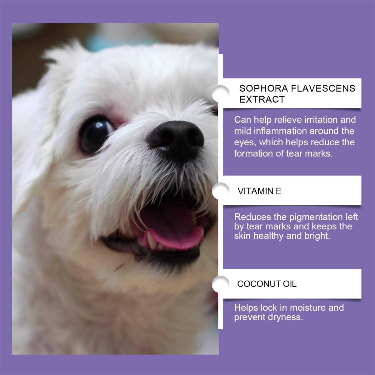 Dog Tear Stain Paste, Gentle Tear Stain Remover For Dogs With Honeysuckle, Sophora Flavescens & Coconut Oil, Soothing Eye Brightening Cream For All Dog Skin Types, 20g - Image 6