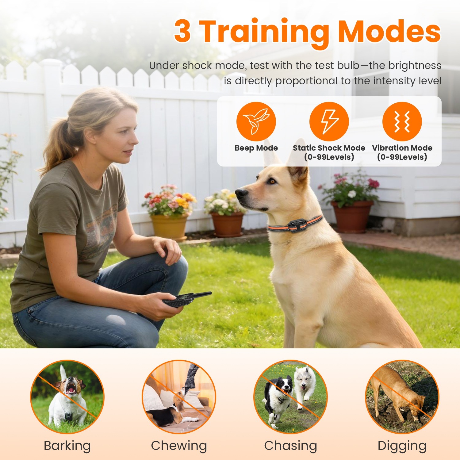 Dog Training Collar With Remote - Image 7