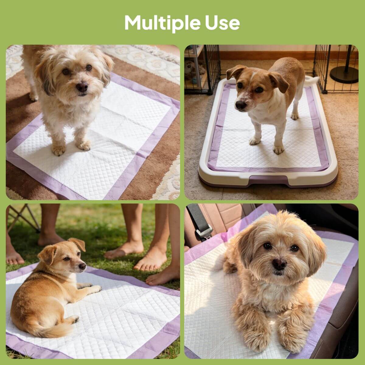 Lavender Scented Disposable Pet Training Pads - Image 9