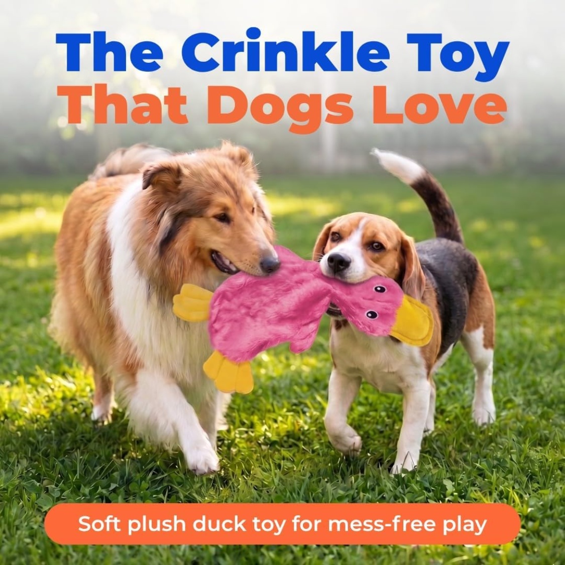 Best Pet Supplies Interactive Squeaky Dog Chew Toy, Ideal Dog Toys For Chewers, Small, Medium Large Dogs, And Fetch Lovers - Image 2