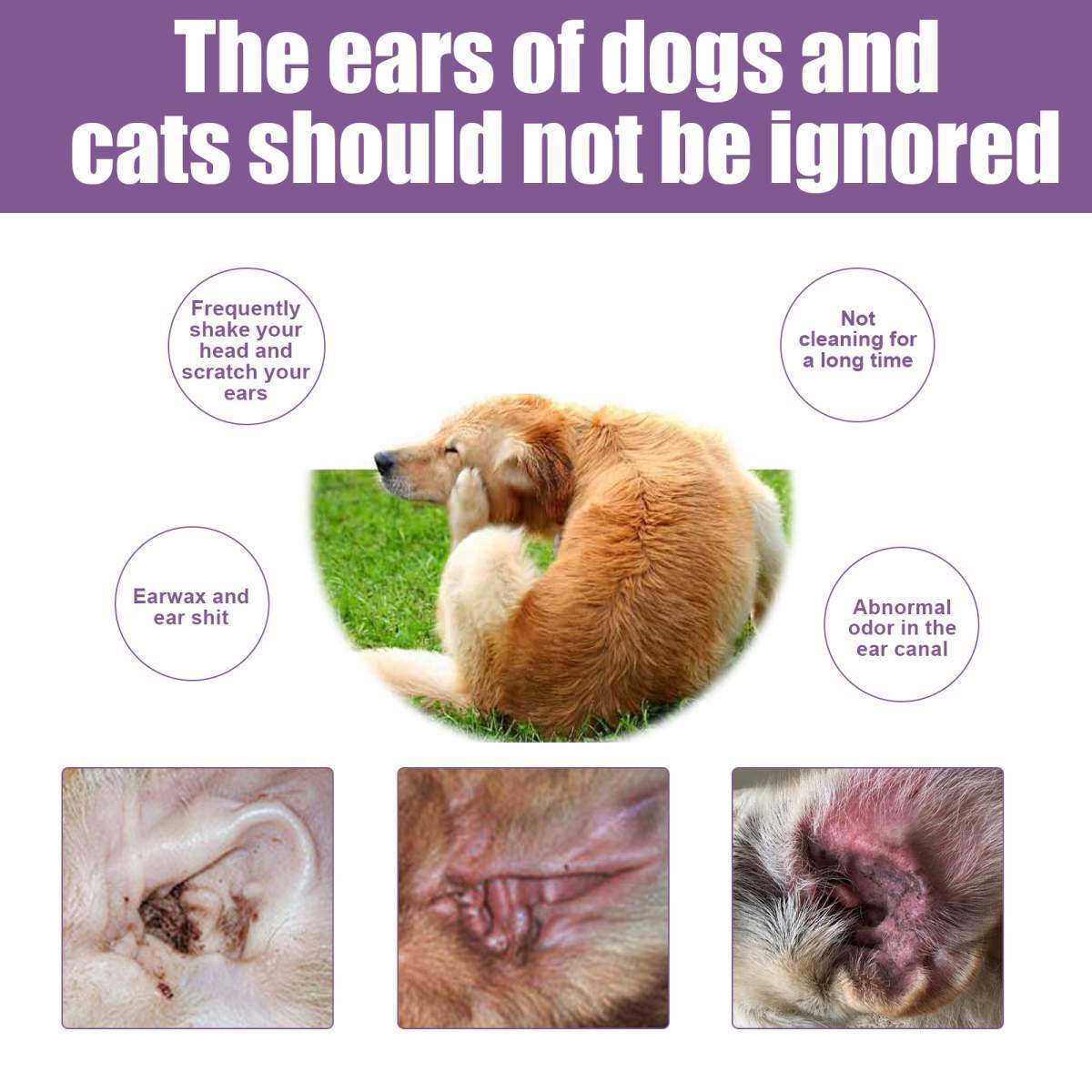 Pet Ear Rinse Cleaner for Dogs & Cats – 118ml - Image 6