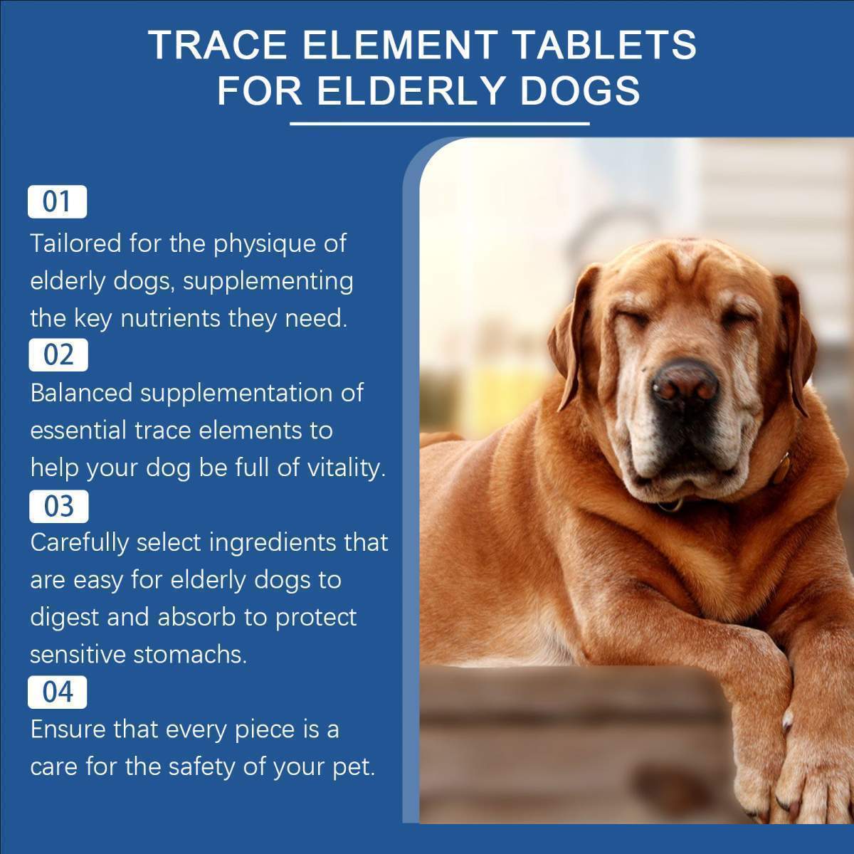 Trace Element Tablets For Senior Dogs Multimineral Supplement For Elderly Canines, Supports Bone Health, Skin Coat & Digestion - Image 3