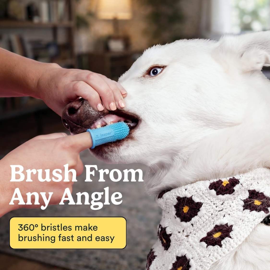 Dog Toothbrush, 360 Dog Tooth Brushing Kit, Finger Toothbrush, Cat Tooth Brush, Teeth Cleaning, Pet Tooth Brush For Small Large Pets - Image 5