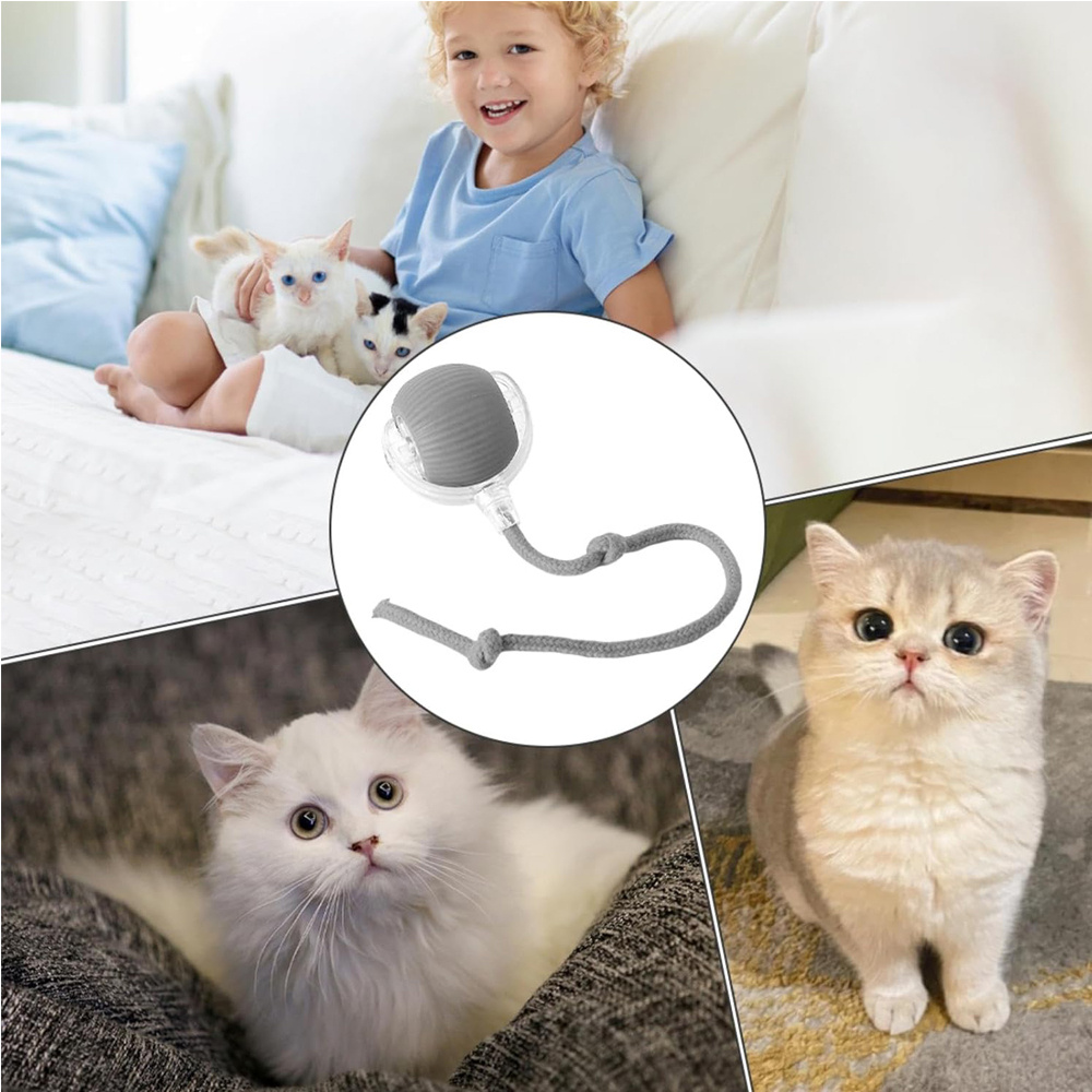 Electric Dog Cat Ball Toy,Indoor Large And Small Cat Dog Interactive Intelligent Rolling Pet Ball - Image 9