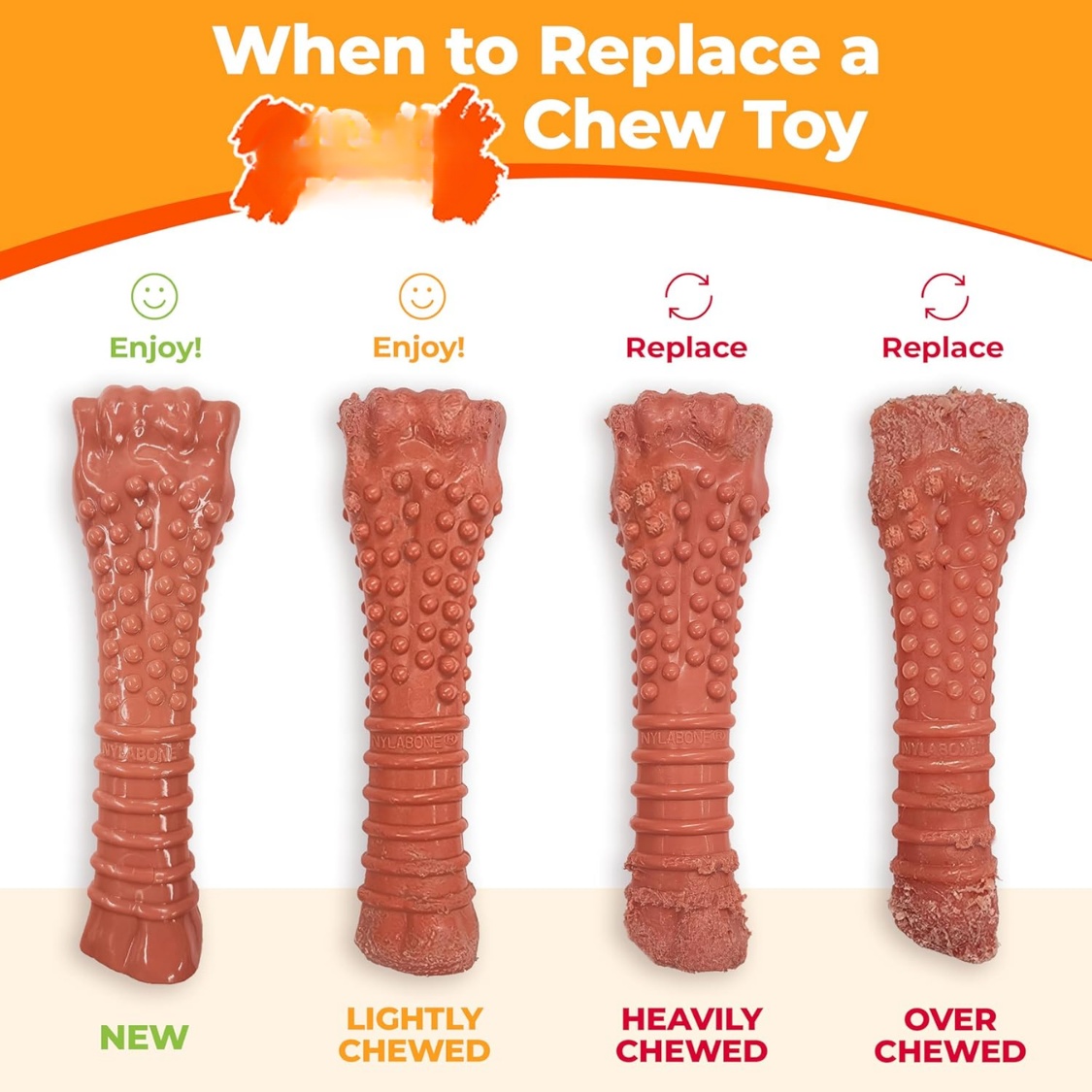 Power Chew Ring Bone Dog Toy Flavor Medley, XSmall Durable Chew Toy For Aggressive Chewers - Image 2