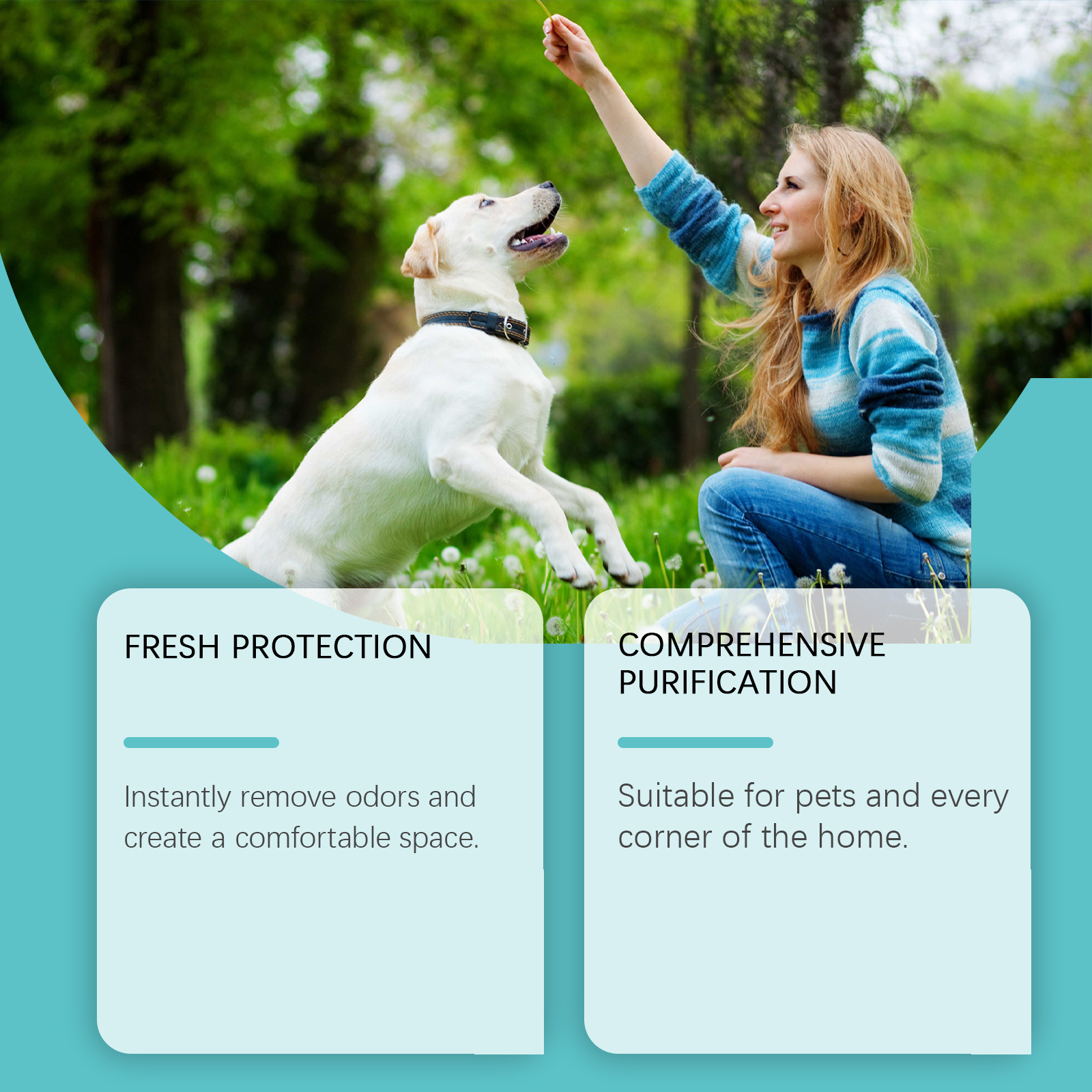 Pet Deodorant Spray, Gentle Pet Odor Eliminator For Dogs & Cats, Instantly Remove Bad Smell For Pet Bedding, Carpet & Home Surfaces, 120ML - Image 4