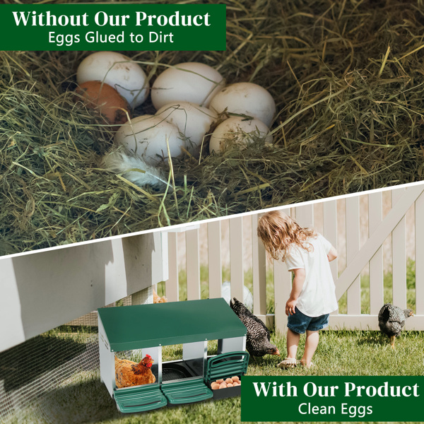 3-compartment Chicken Feeding Trough - Image 7
