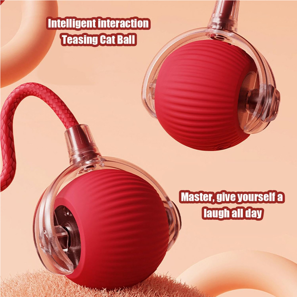 Interactive Rolling Cat Ball - Image 5