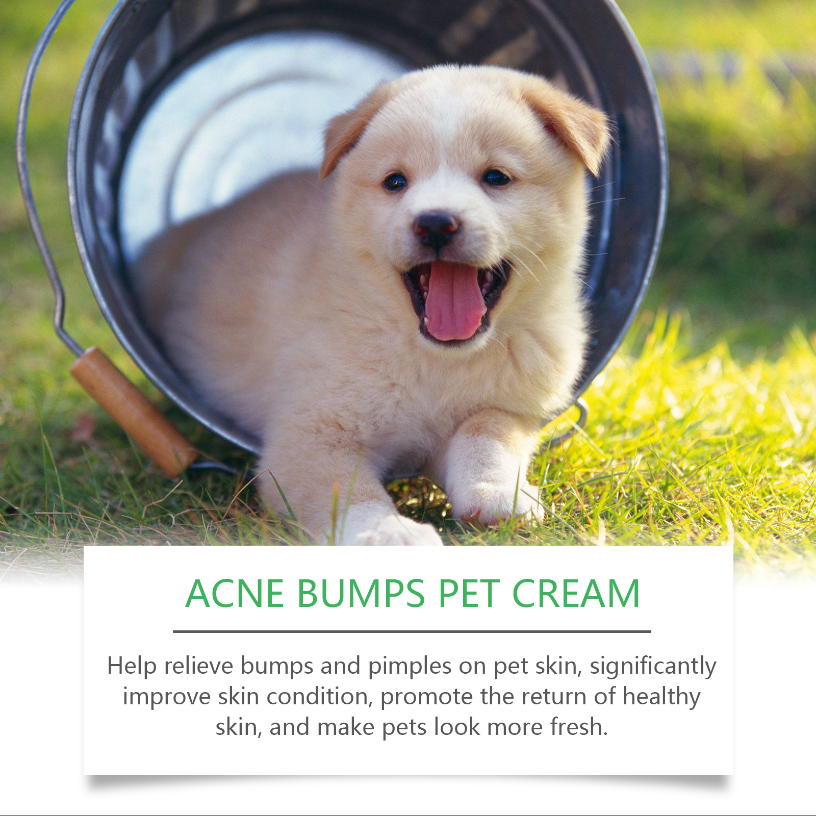 Pet Acne & Bumps Skin Cream, Soothing Skin For Dogs & Cats, Relief Redness Irritated Skin With Calendula & Ganoderma Extract - Image 2