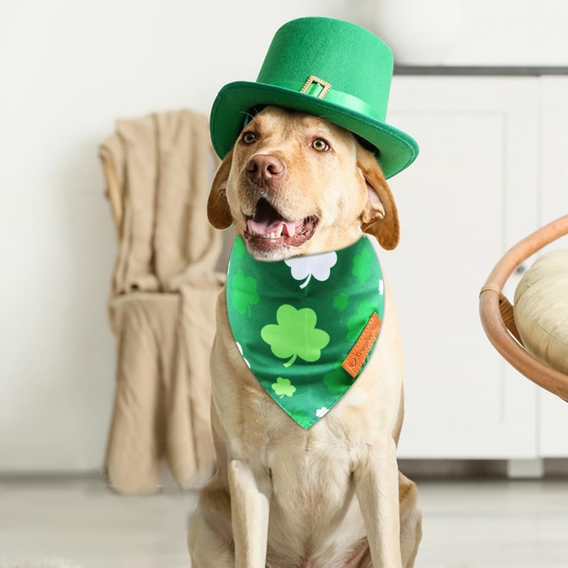 2 Pieces St. Patrick's Day Dog Bandanas, Double-Sided Reversible Triangle Scarf - Image 5