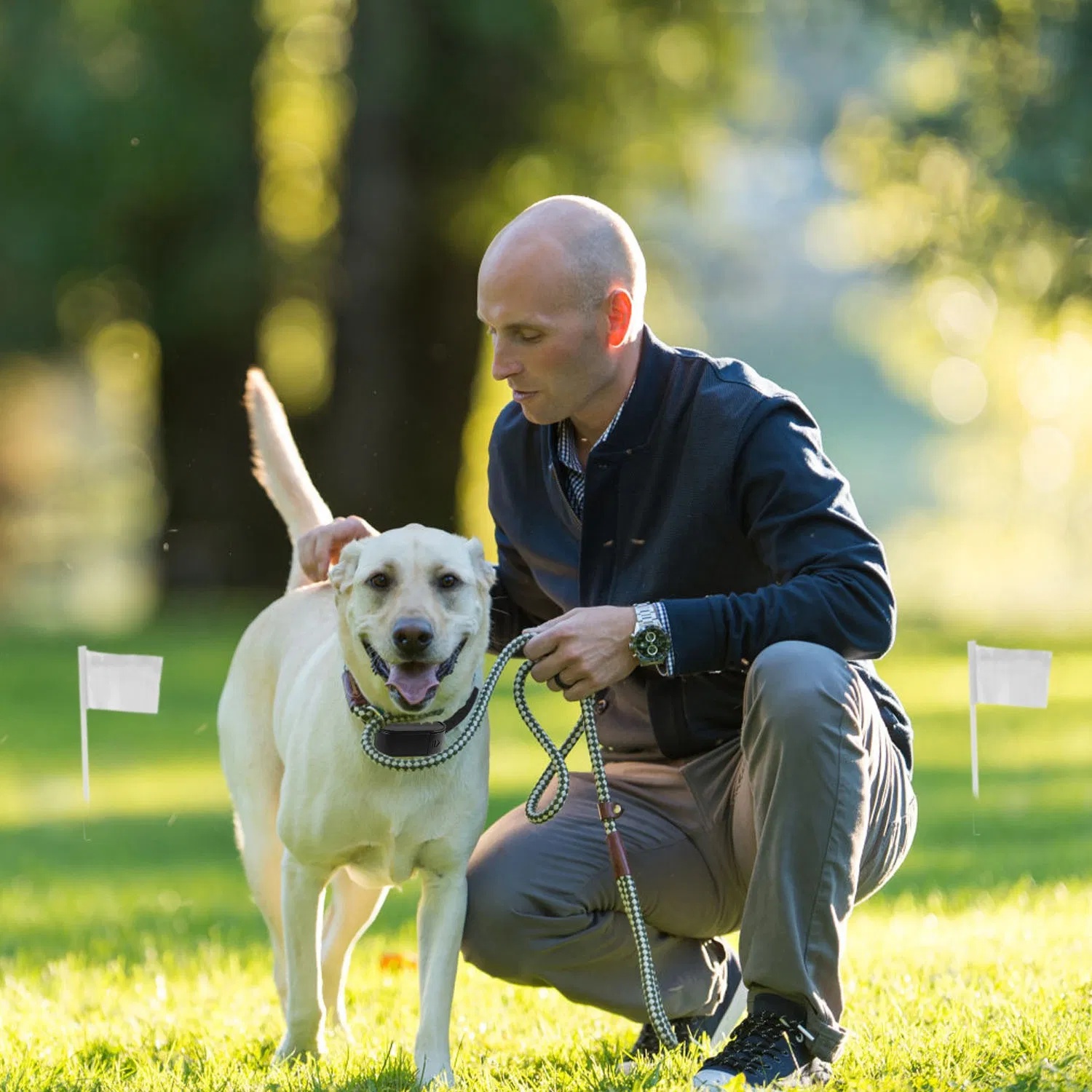 Electric Dog Fence System Pet Tone Shock Boundary Containment Water Resistant Collar Receiver For Small Medium Large Dog - Image 5