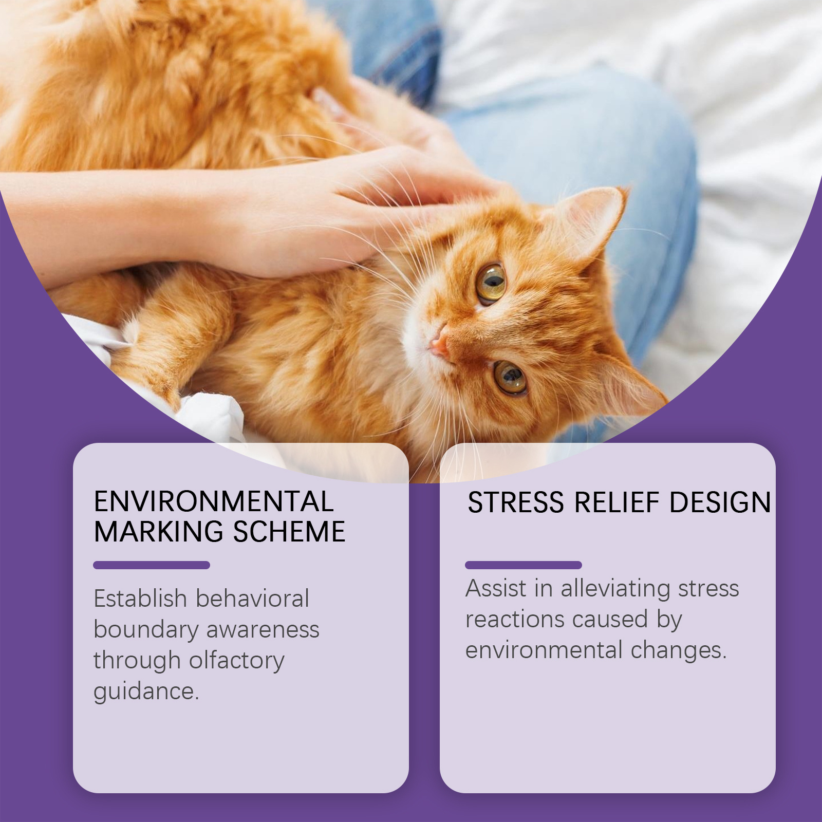 Calming Cat Spray, 60ML Natural Cat Anxiety Relief Spray For Stress & Bad Behavior Correction Product Bullet Points Natural Gentle Formula Crafted With Deionized Water, 1,2-hexanediol And Matrine, Thi - Image 6
