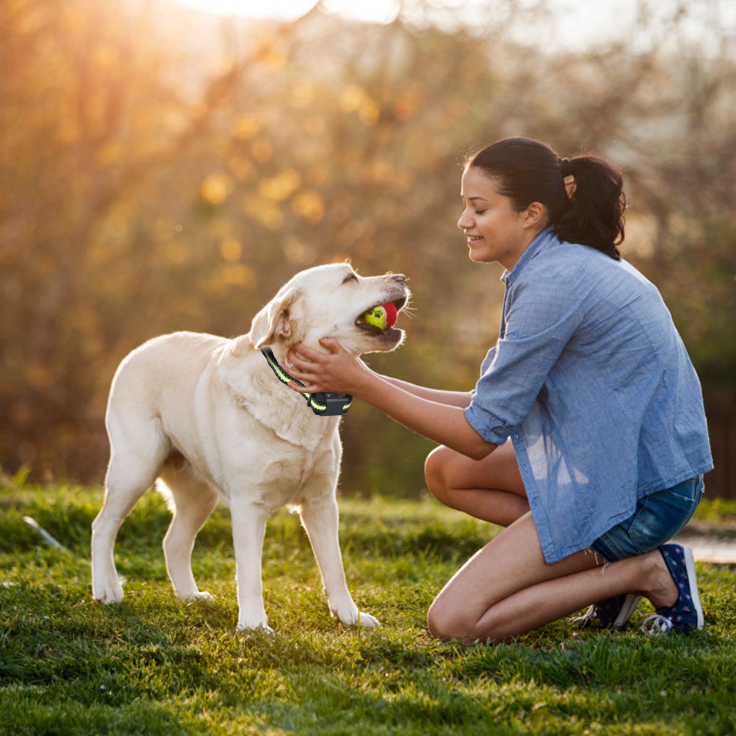 Dog Bark Collar Rechargeable Waterproof Beep Vibration Static Stimulation Bark Stopper Automatic Identification Collar With 6 Intensity Dual Modes - Image 3