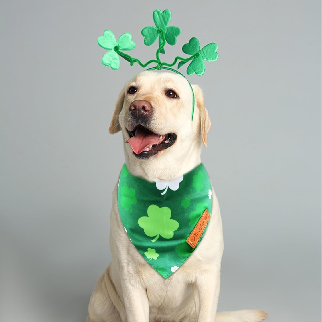 2 Pieces St. Patrick's Day Dog Bandanas, Double-Sided Reversible Triangle Scarf - Image 6