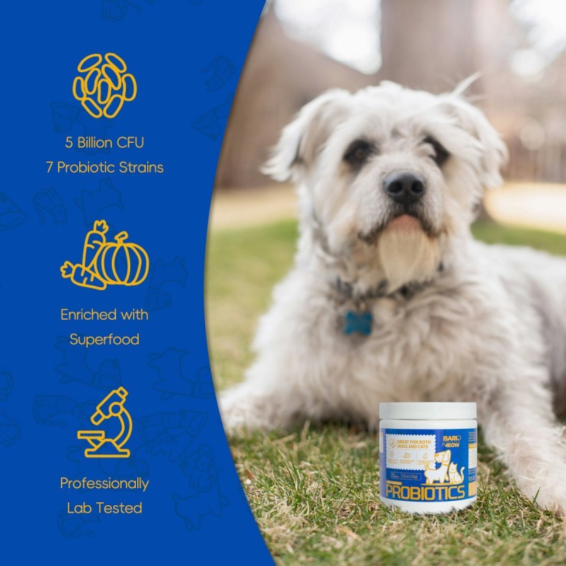 Bark And Meow Probiotics For Dogs & Cats 7 Tailored Strains Prebiotics, Pumpkin & Carrot 5 Billion CFU Scoop Human-Grade, Non-GMO, Vet-Approved, Made In USA, Gut & Immune Support - Image 2