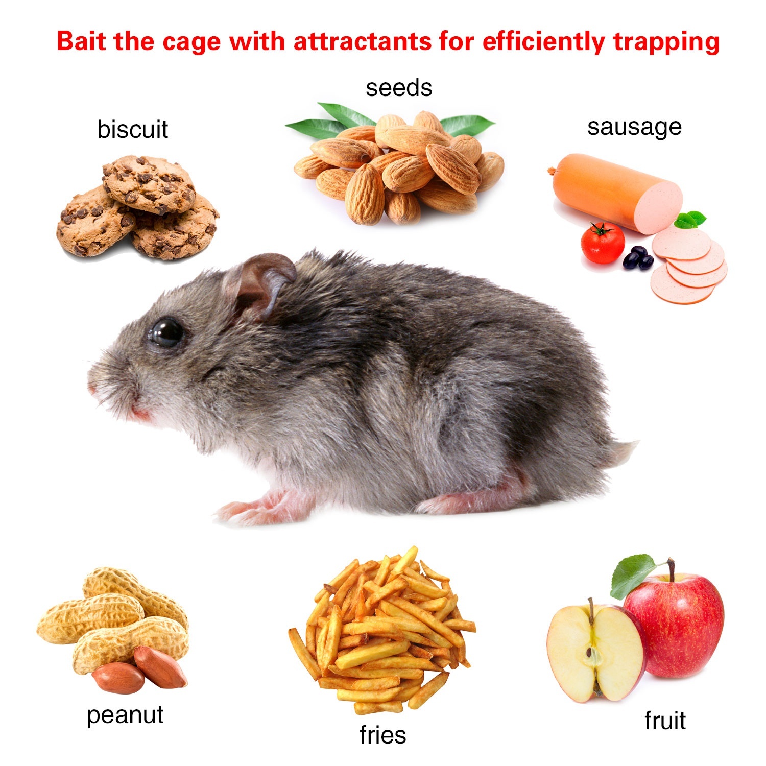 Humane Live Animal Trap, Galvanized Steel Mouse Cage Trap With Sensitive Gravity Pedal, Escape-Proof Design, Reusable Rodent Catcher For Home Yard Garage Restaurant - Image 5