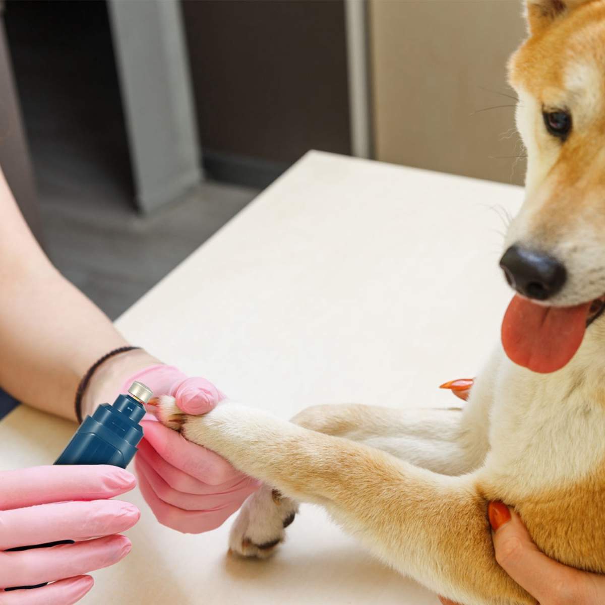 1Pc Dog Nail Grinder 2 Speeds Quiet USB Rechargeable Pet Nail Grinder Professional Pet Nail Trimmer Cordless Paws Grooming & Smoothing Claw Care For Small Medium Large Dogs & Cats - Image 6