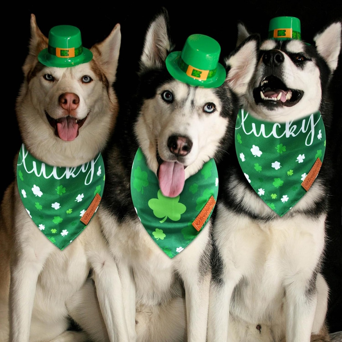 2 Pieces St. Patrick's Day Dog Bandanas, Double-Sided Reversible Triangle Scarf - Image 4