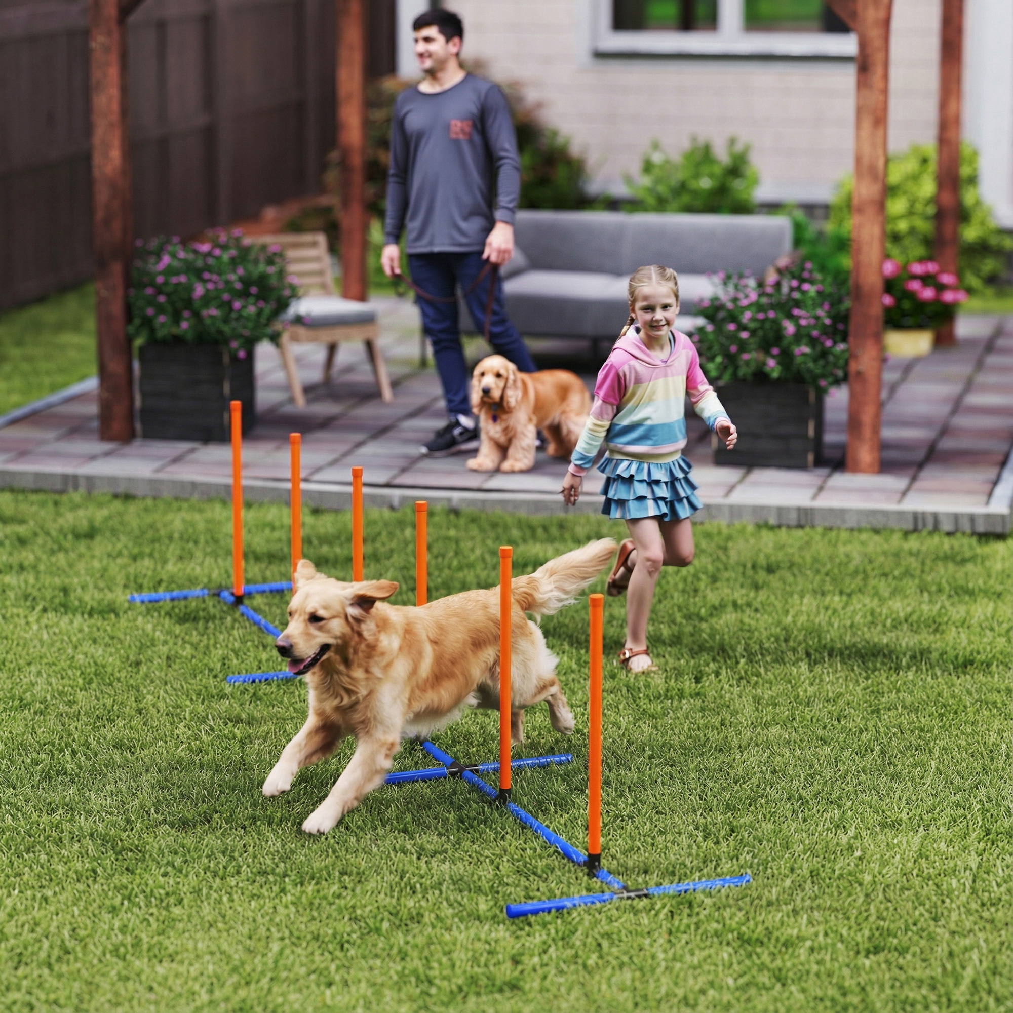 Dog Agility Training Equipment Adjustable Poles for Dog Agility Course with Carry Bag - Image 5