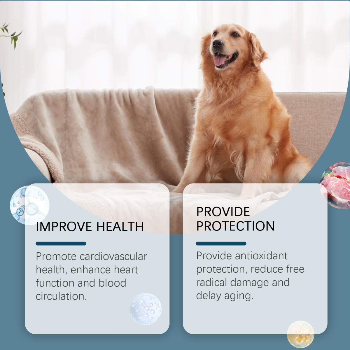 Dog Mineral Supplement Tablets, 80 Chewable Tablets, Calcium Magnesium & Trace Minerals, Appetite & Bone Health Support, Non-GMO Pet Vitamins - Image 8