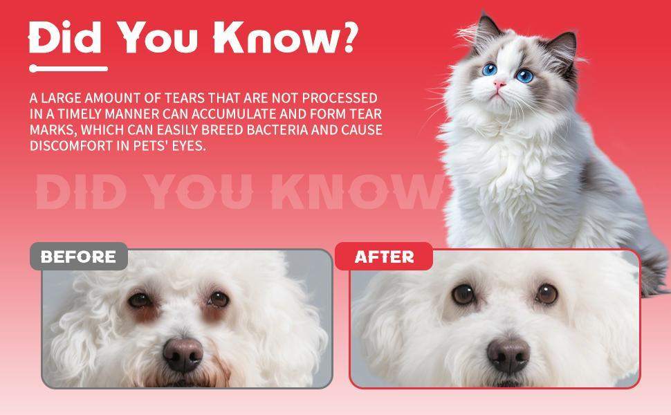 Pet Tear Stain Removal Powder - Natural And Gentle Formula, Eye And Fur Care, Tear Stain Removal And Brightening, An Essential Product For Pet Eye Cleaning. - Image 4