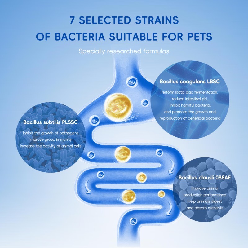Bark And Meow Probiotics For Dogs & Cats 7 Tailored Strains Prebiotics, Pumpkin & Carrot 5 Billion CFU Scoop Human-Grade, Non-GMO, Vet-Approved, Made In USA, Gut & Immune Support - Image 5