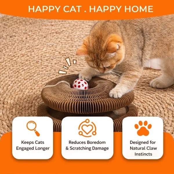2PCS Kitty Curls Cat Toy - Foldable Accordion Cat Scratcher WithBall - Magic Organ Cat Scratch Board For Interactive Play -Calming Features - Image 3
