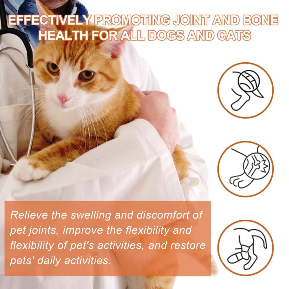 Bee Pet Joint Repair Spray, Joint Support Supplement For Dogs & Cats, Relief Joint Swelling & Discomfort, Improve Mobility - Image 5