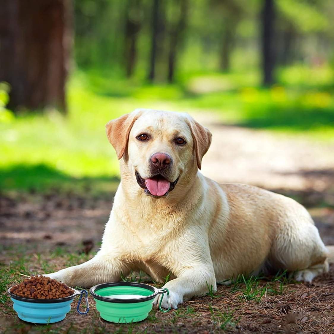 Collapsible Bowl With Cover Lids,2 Pack Dog Travel Bowls Portable Foldable Cat Water Dish Bowl For Pets Walking Parking Camping - Image 3