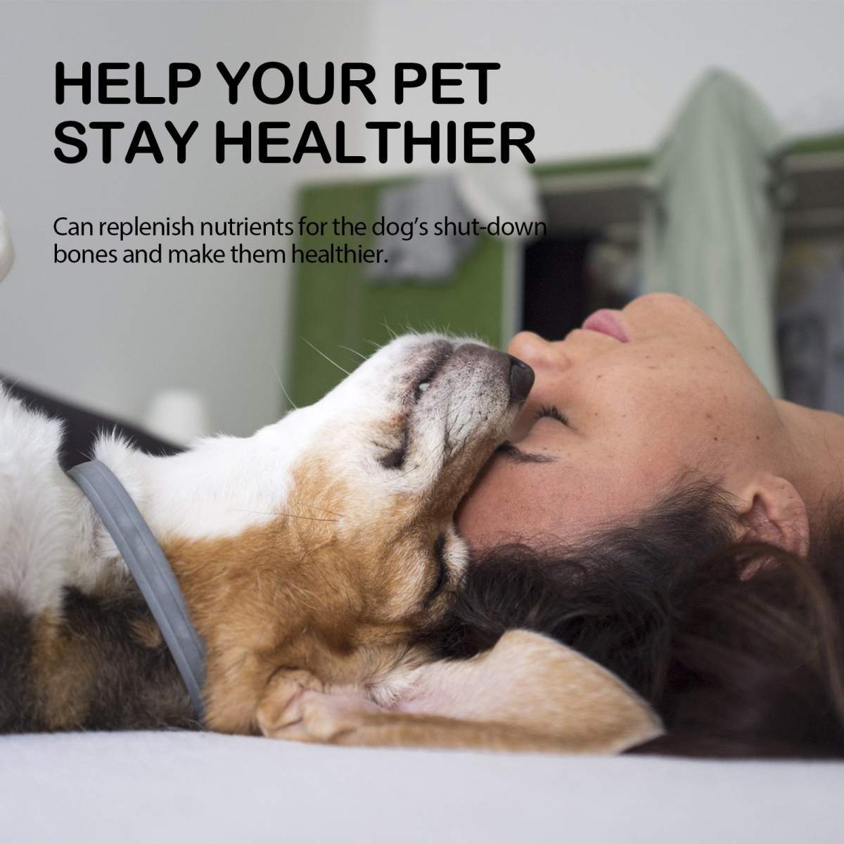 Dog Pet Care Oil With Lemon Balm Oil Fatty Acids, Joint & Muscle Relief Supplement Oil For Canine Mobility Support - Image 3