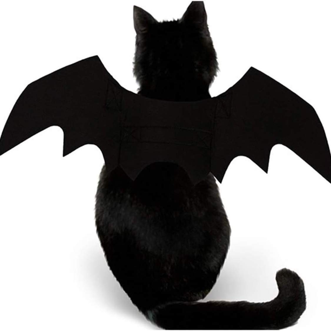 Pet Cat Bat Wings For Halloween Party Decoration, Puppy Collar Leads Cosplay Bat Costume,Cute Puppy Cat Dress Up Accessories - Image 3