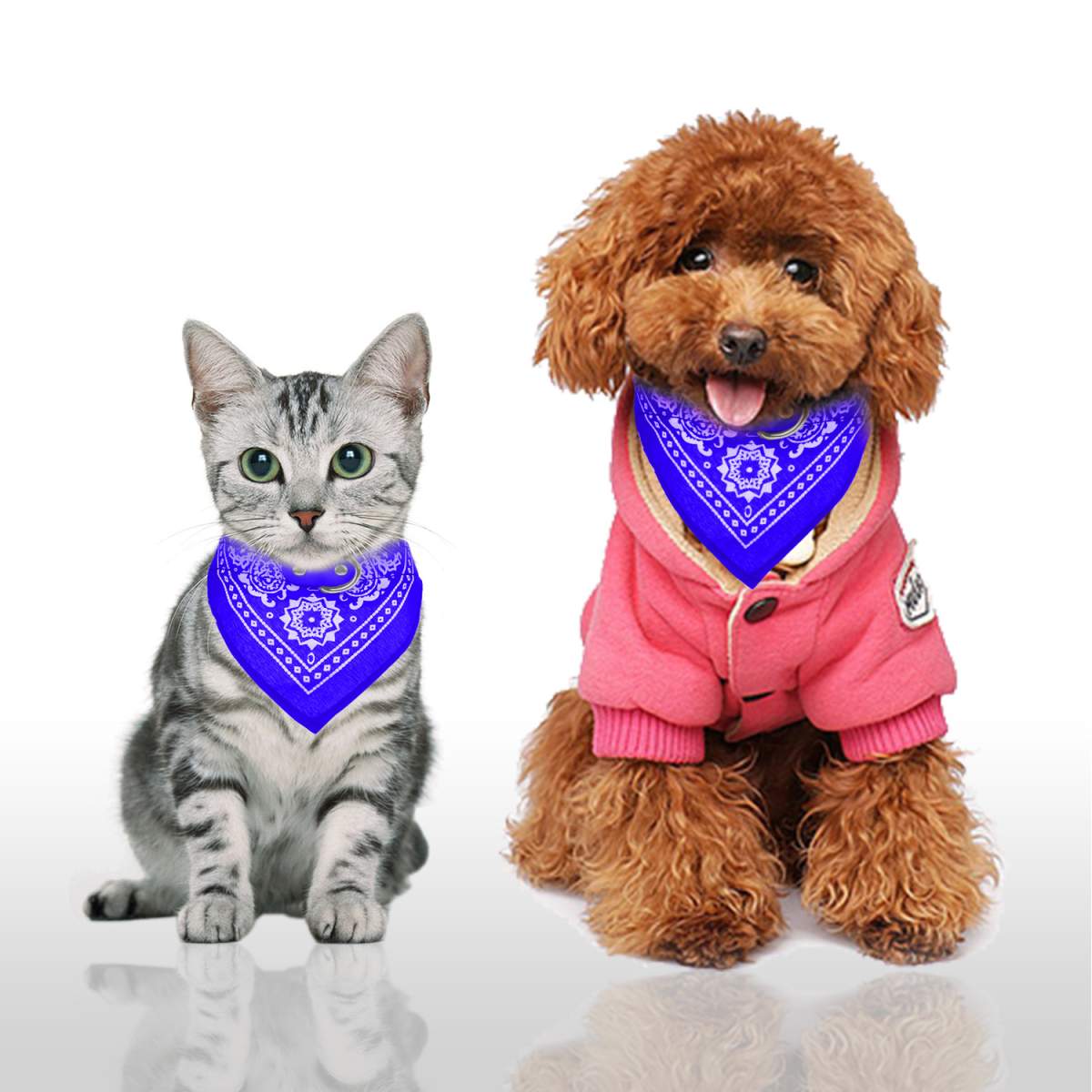 1Pc Adjustable Bandana Leather Pet Collar Triangle Scarf - Image 9
