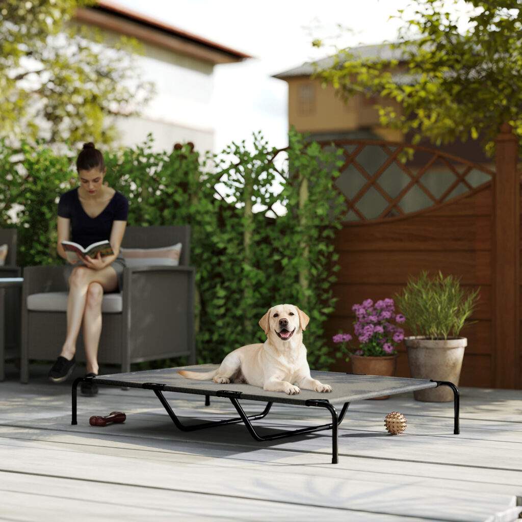 Elevated Dog Bed for Large Breeds Gray 60"L