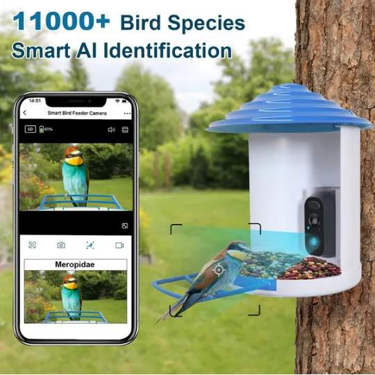 Smart Bird Feeder With Solar Powered Camera 1080P HD AI Identify PIR Motion Auto Capture Video Cloud Card Storage WiFi Connection App Control IP65 Waterproof - Image 5
