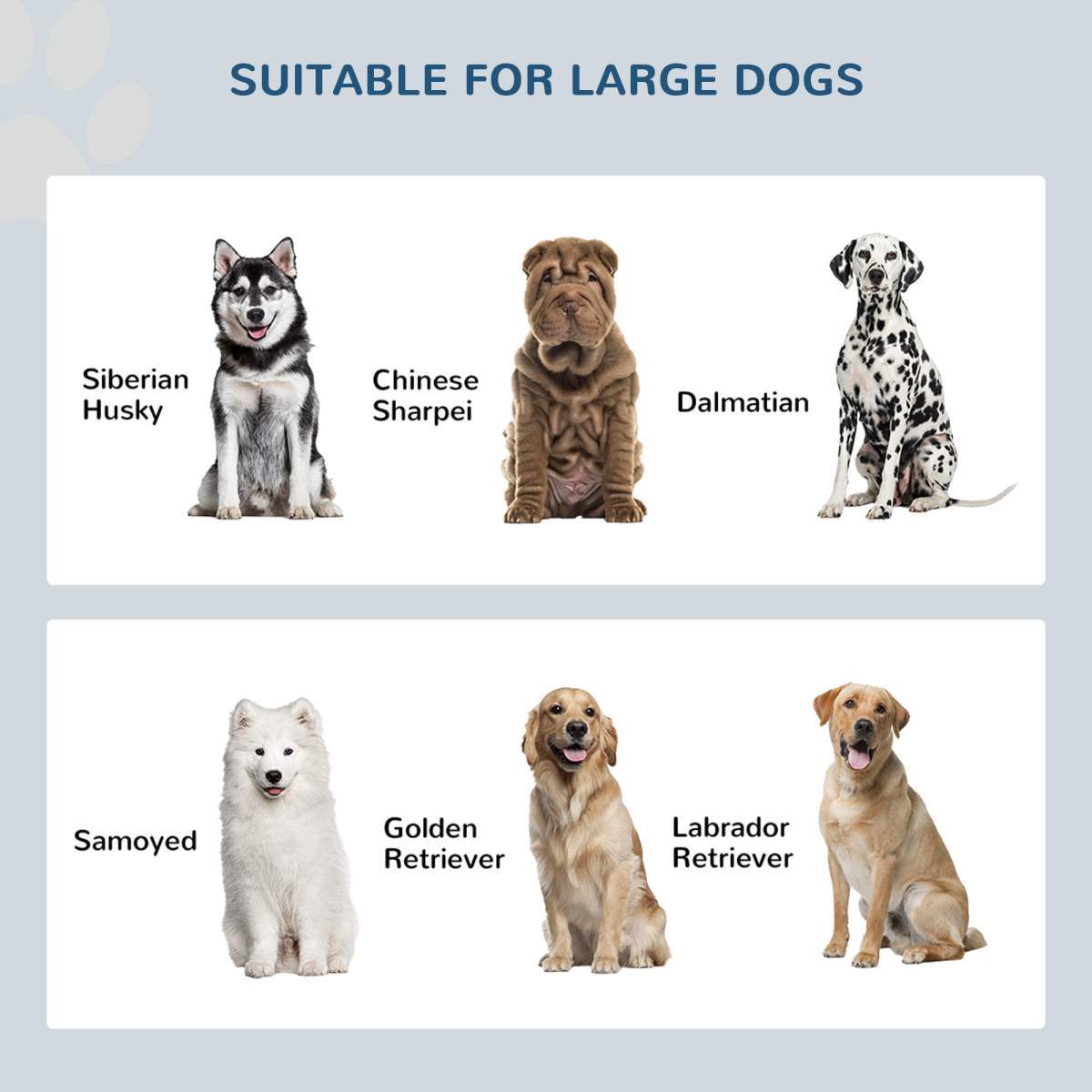 Elevated Dog Bowls with Storage Cabinet Containing Large 44L Capacity, Gray - Image 6