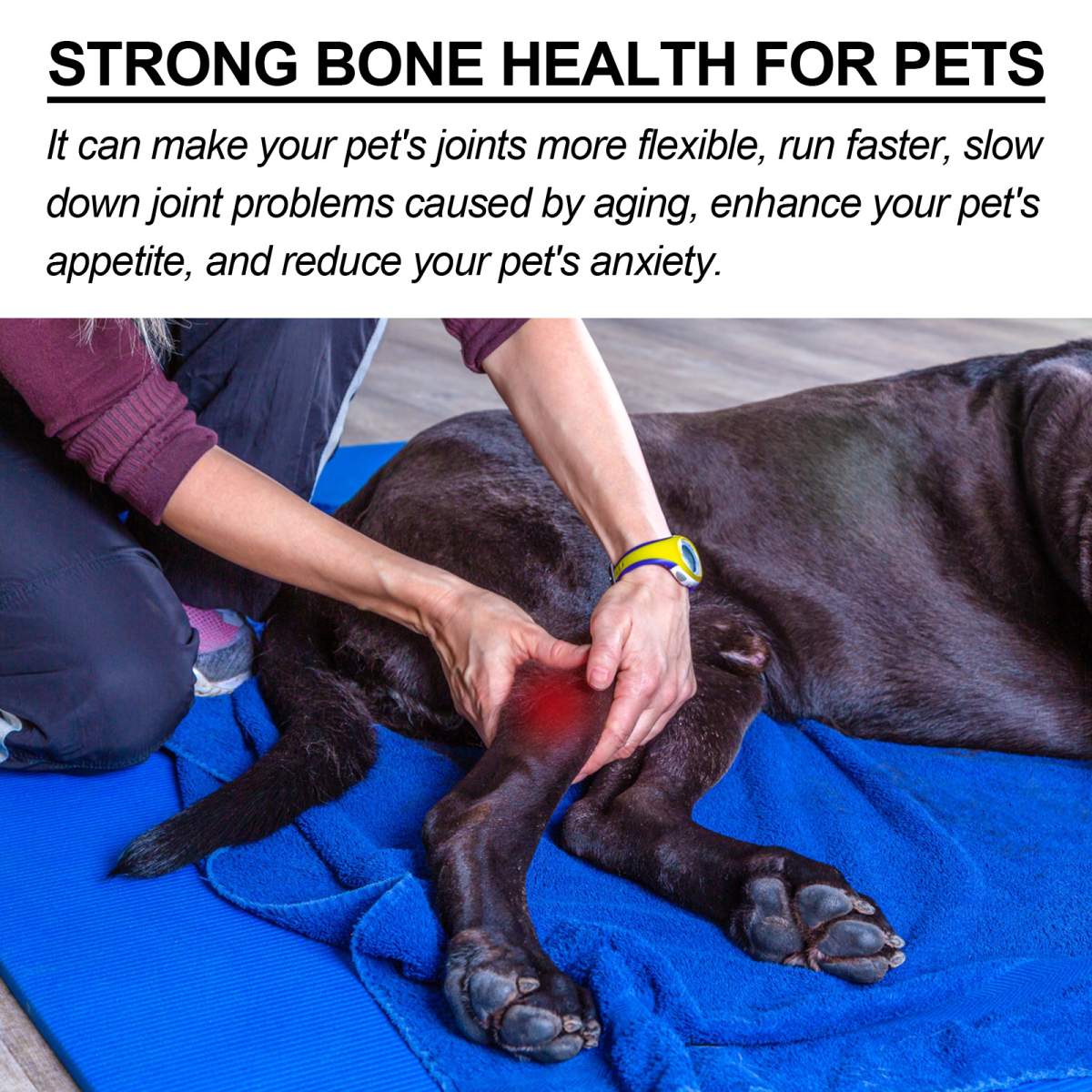 Bee Pet Joint Repair Spray, Joint Support Supplement For Dogs & Cats, Relief Joint Swelling & Discomfort, Improve Mobility - Image 3