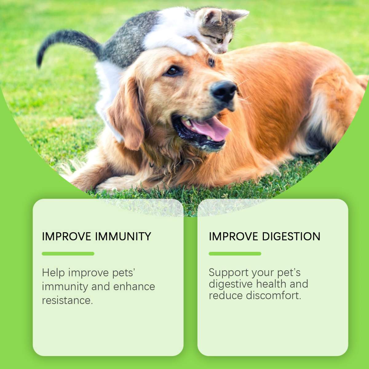 Pet Probiotics & Vitamin Tablets For Dogs & Cats, Gut Health Supplement, Support Digestion & Immune System, 80 Chewable Tablets - Image 9