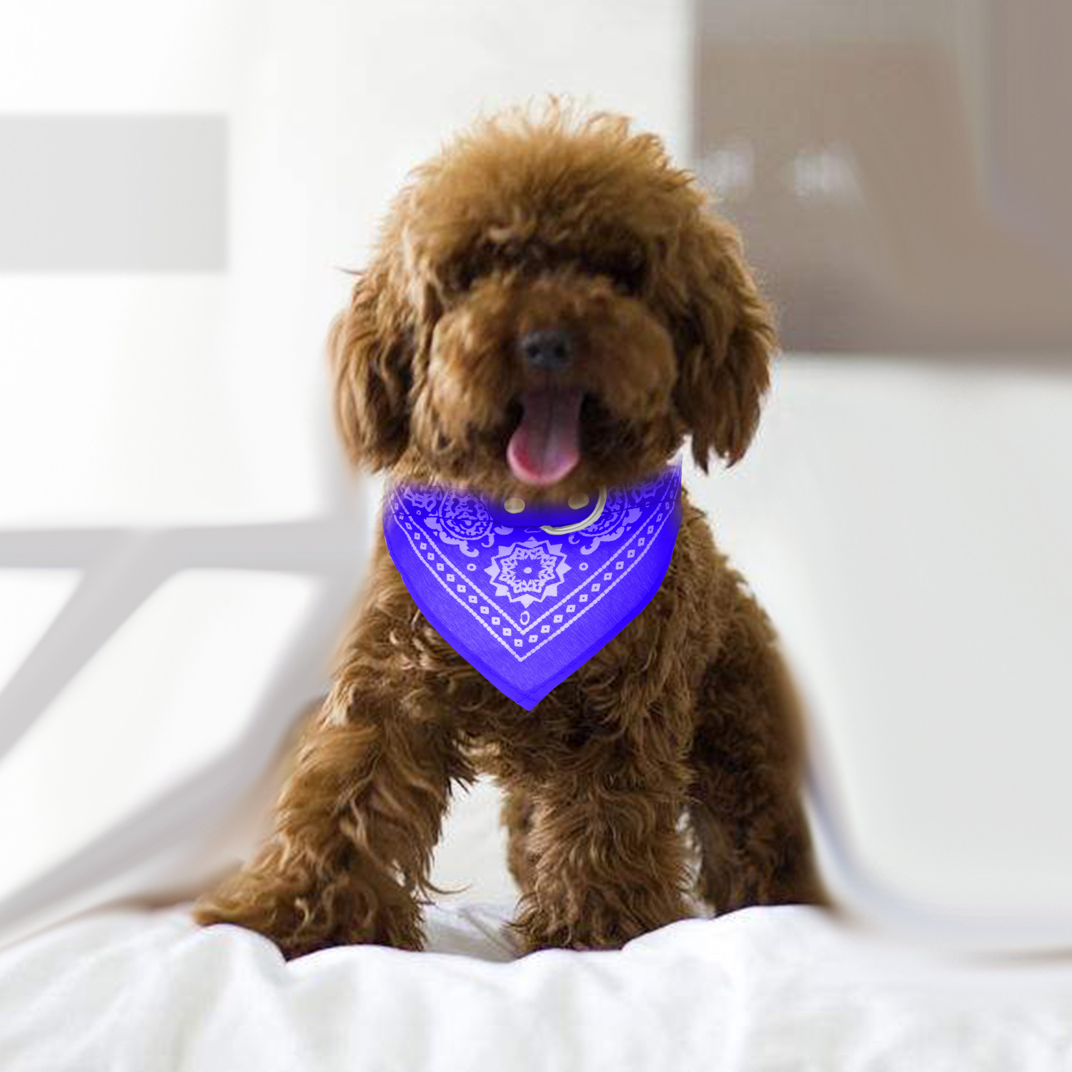 1Pc Adjustable Bandana Leather Pet Collar Triangle Scarf - Image 6